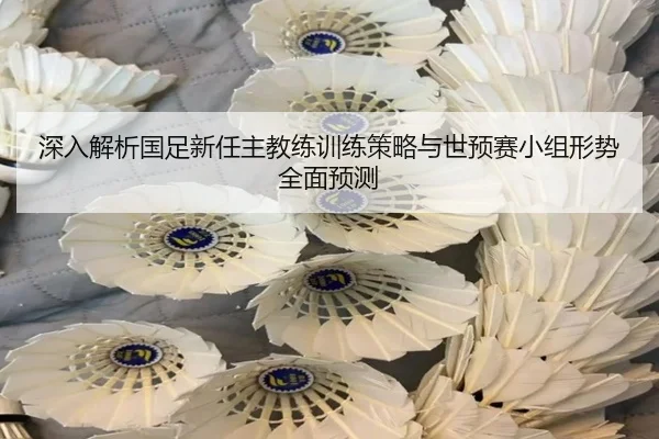 深入解析国足新任主教练训练策略与世预赛小组形势全面预测